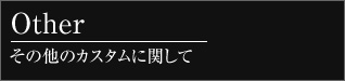 その他のカスタムに関して